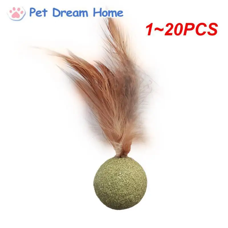 1~20PCS Cat Molar Teeth Cleaning Cat Feather Toy Catnip Ball Household Chasing Game Cat Ball Pet Toy Supplies Healthy Cat Mint
1~20PCS Cat Molar Teeth Cleaning Cat Feather Toy Catnip Ball Household Chasing Game Cat Ball Pet Toy Supplies Healthy Cat Mint