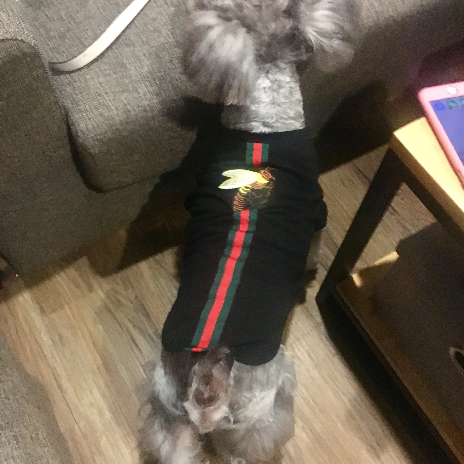 2024 New Trendy Pet Clothes Dog Cat Sweatshirt French Teddy Bichon Schnauzer Puppy Cat Winter Style Thickened Kitty Clothing
2024 New Trendy Pet Clothes Dog Cat Sweatshirt French Teddy Bichon Schnauzer Puppy Cat Winter Style Thickened Kitty Clothing