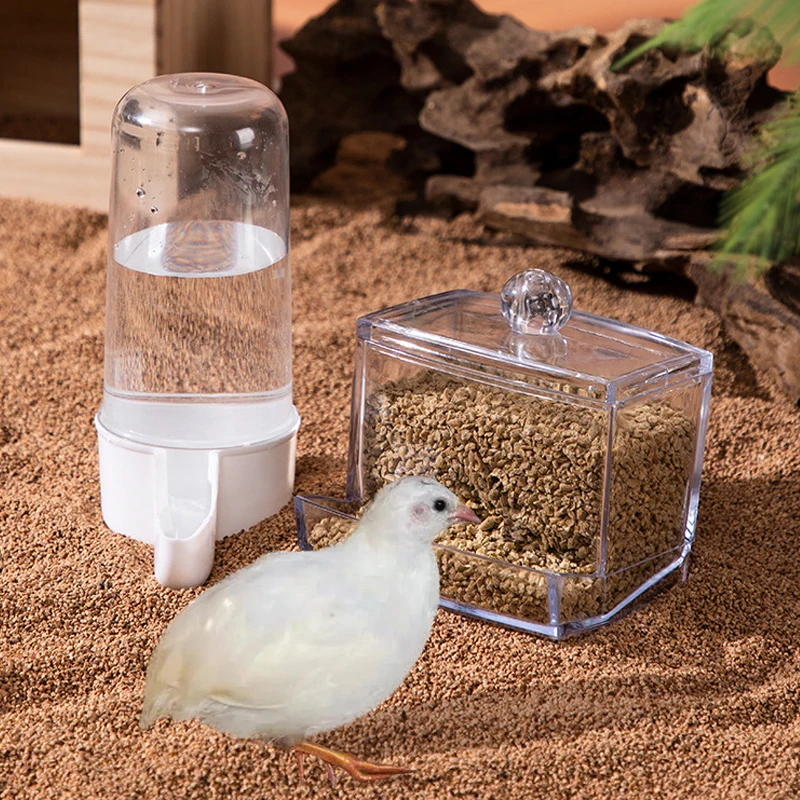 

Автоматическая кормушка для цыплят рутин, большая емкость, антипроточная пищевая коробка, принадлежности для кормления птицы, прозрачный диспенсер