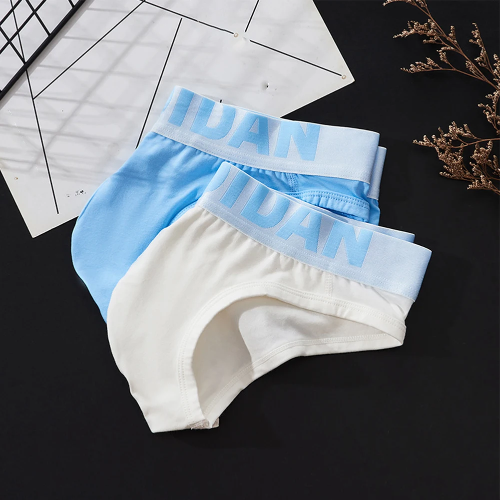 

Men Cotton Underwear Sexy Low Rise Briefs With U Convex Pouch Soft Elasticity Short Boxers Summer Breathable Male Panties