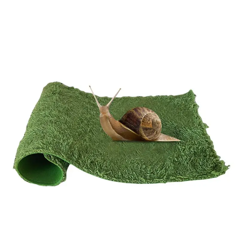 durable Reptile Carpet 1PCS washable comfortable Dragon Carpet Flexible breathable Terrarium Liner for Snakes and Chameleons
durable Reptile Carpet 1PCS washable comfortable Dragon Carpet Flexible breathable Terrarium Liner for Snakes and Chameleons