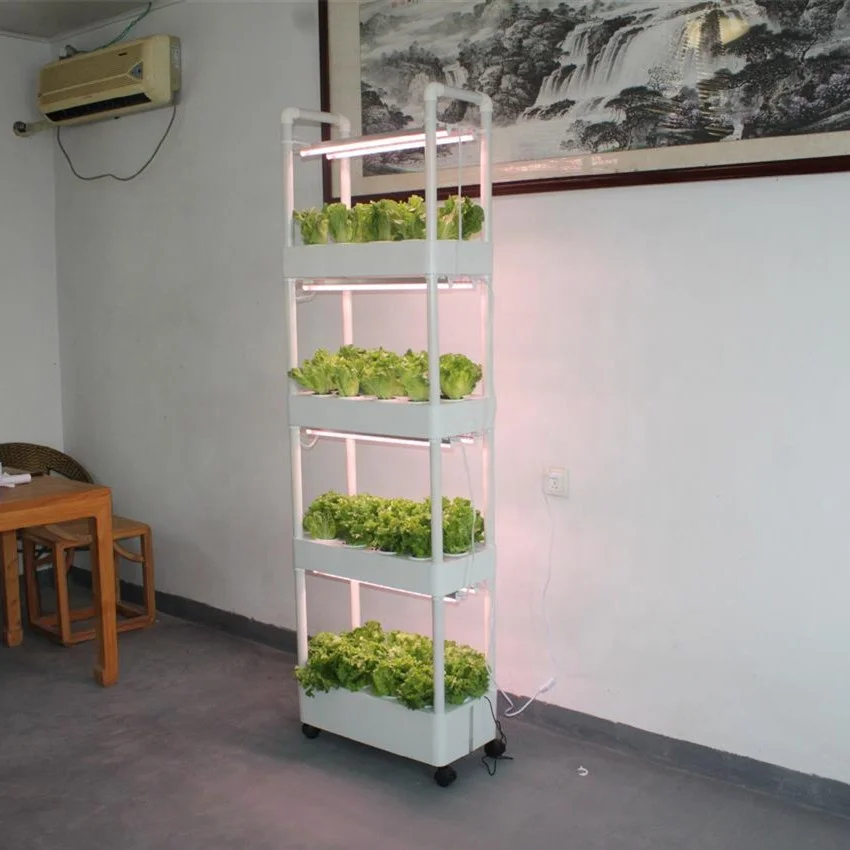 Indoor Hydroponic Vertical Garden Kit Full Spectrum Led Light Grow Box Complete Systems 4 Layers 56 Holes Planter with Wheel
Indoor Hydroponic Vertical Garden Kit Full Spectrum Led Light Grow Box Complete Systems 4 Layers 56 Holes Planter with Wheel