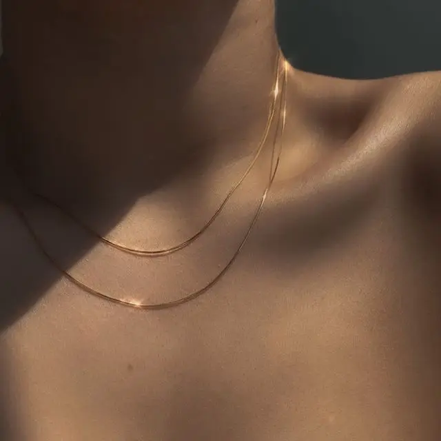 

2023 Designer Minimalist Thin Snake Chain Gold Plated Necklaces For Women Niche Sexy Chain Choker Necklaces Jewelry Accessories