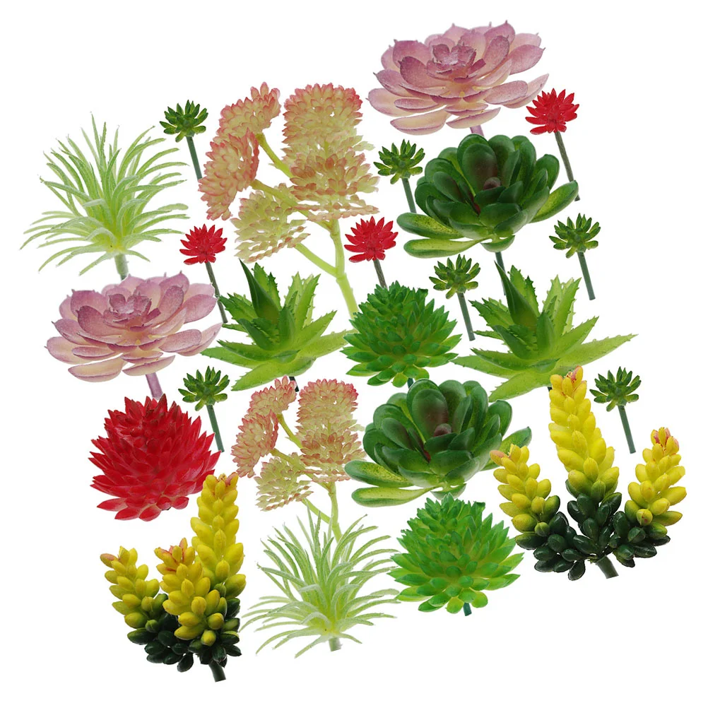 Simulated Succulents Decorative Plant Wall Adornments Artificial Plant Home Office Desktop Decorative Ornament
Simulated Succulents Decorative Plant Wall Adornments Artificial Plant Home Office Desktop Decorative Ornament