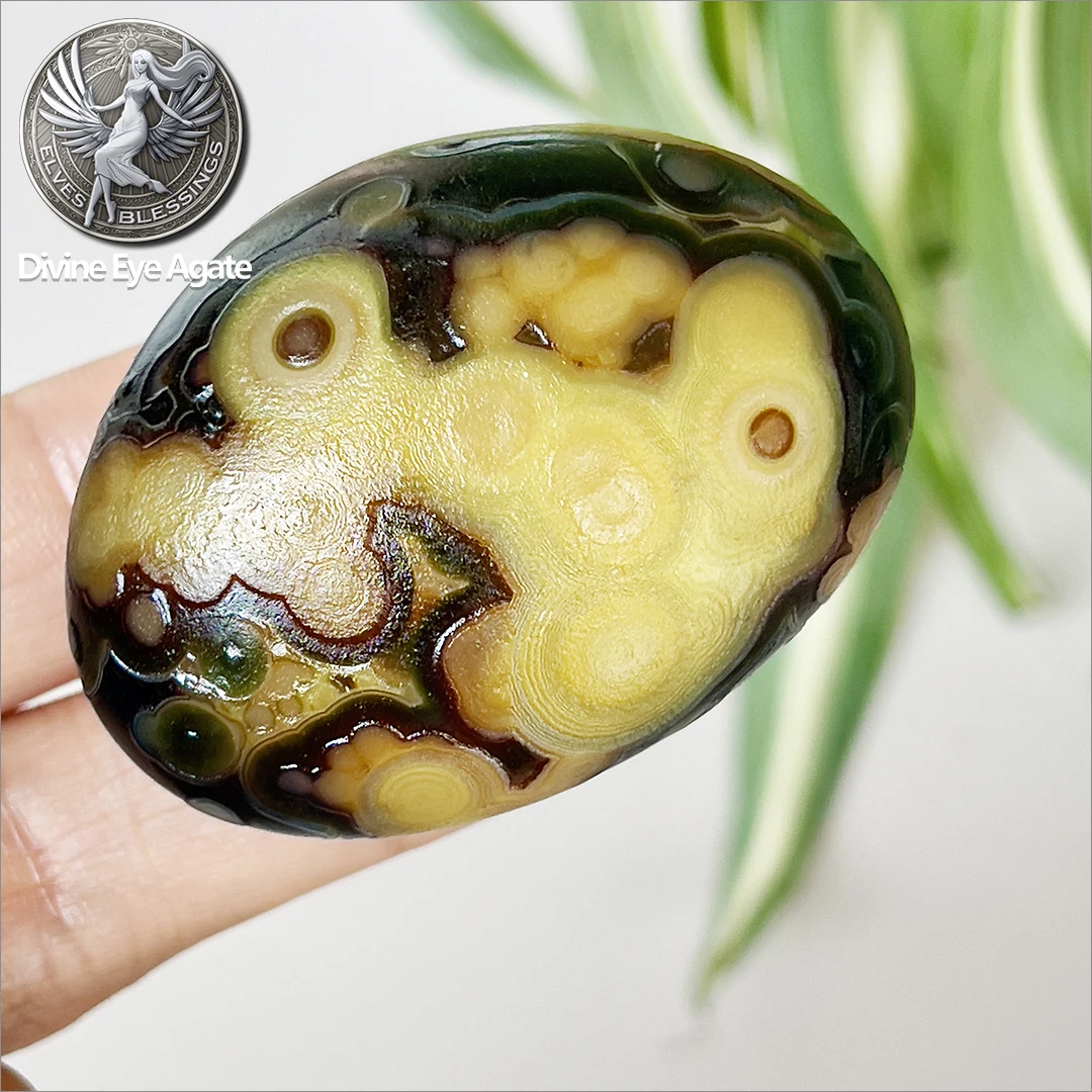 Natural Flower Colorful Agate Stones Pure Natural Beads for DIY Jewelry Making Minerals Agate Home Decor Gift Original Stone
Natural Flower Colorful Agate Stones Pure Natural Beads for DIY Jewelry Making Minerals Agate Home Decor Gift Original Stone