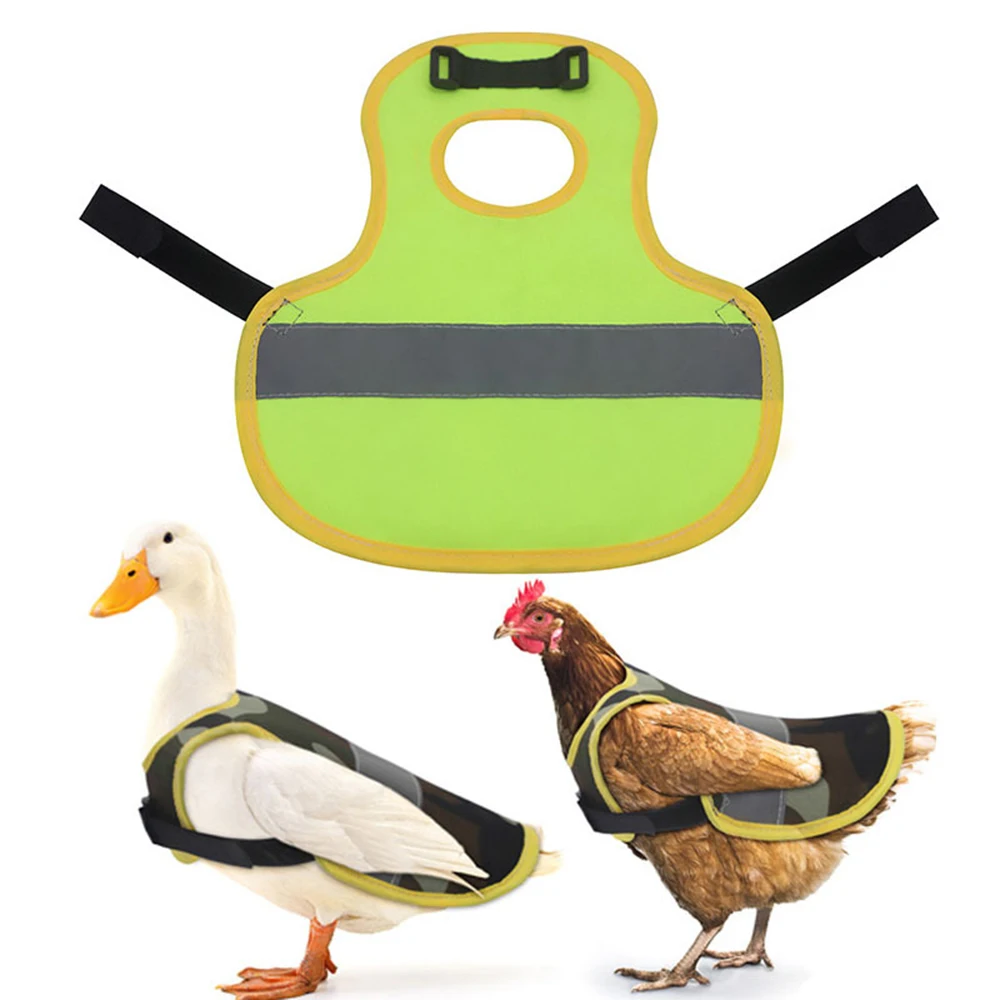 Pet Vest Winter Protection Light Chicken Duck Vest Night Protective Clothing Vest Traction Suit Warm Reflective Vest Apron
Pet Vest Winter Protection Light Chicken Duck Vest Night Protective Clothing Vest Traction Suit Warm Reflective Vest Apron