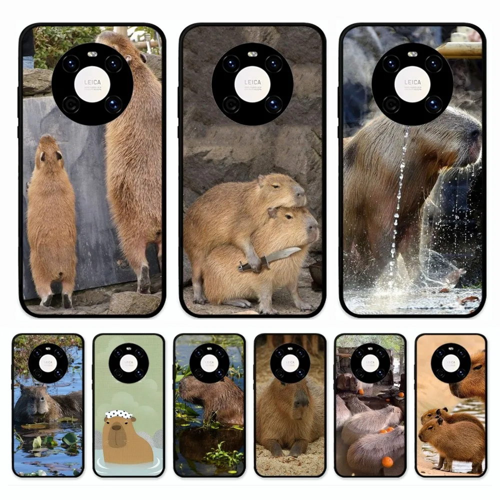 

Animal Funny Capybara Mousepad For Huawei Mate 10 20 30 40 50 lite pro Nova 3 3i 5 6 SE 7 pro 7SE