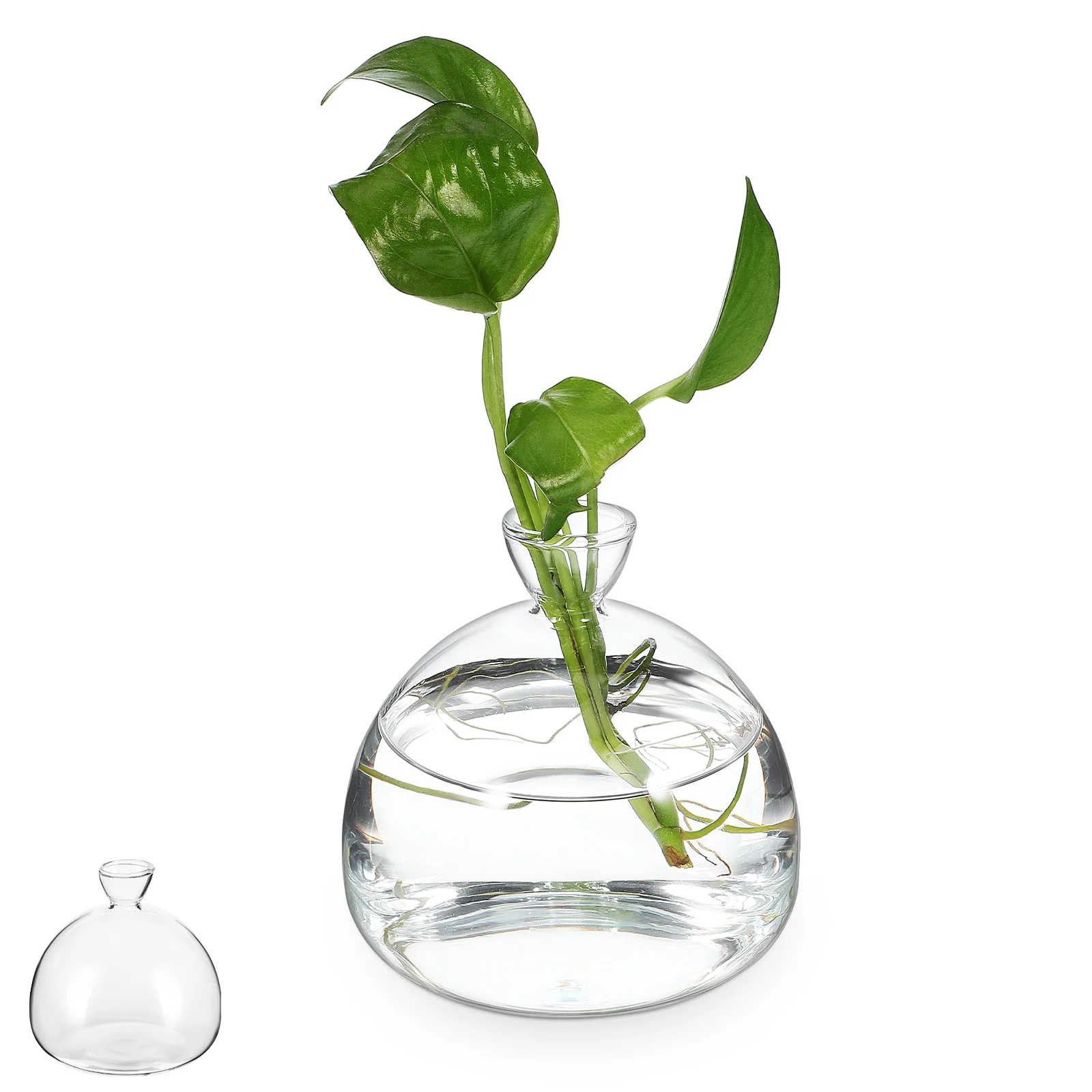 Glass Plant Pot Clear Glass Vase Glass Plant Holder Flower Arranging Container Clear Vases For Centerpieces
Glass Plant Pot Clear Glass Vase Glass Plant Holder Flower Arranging Container Clear Vases For Centerpieces