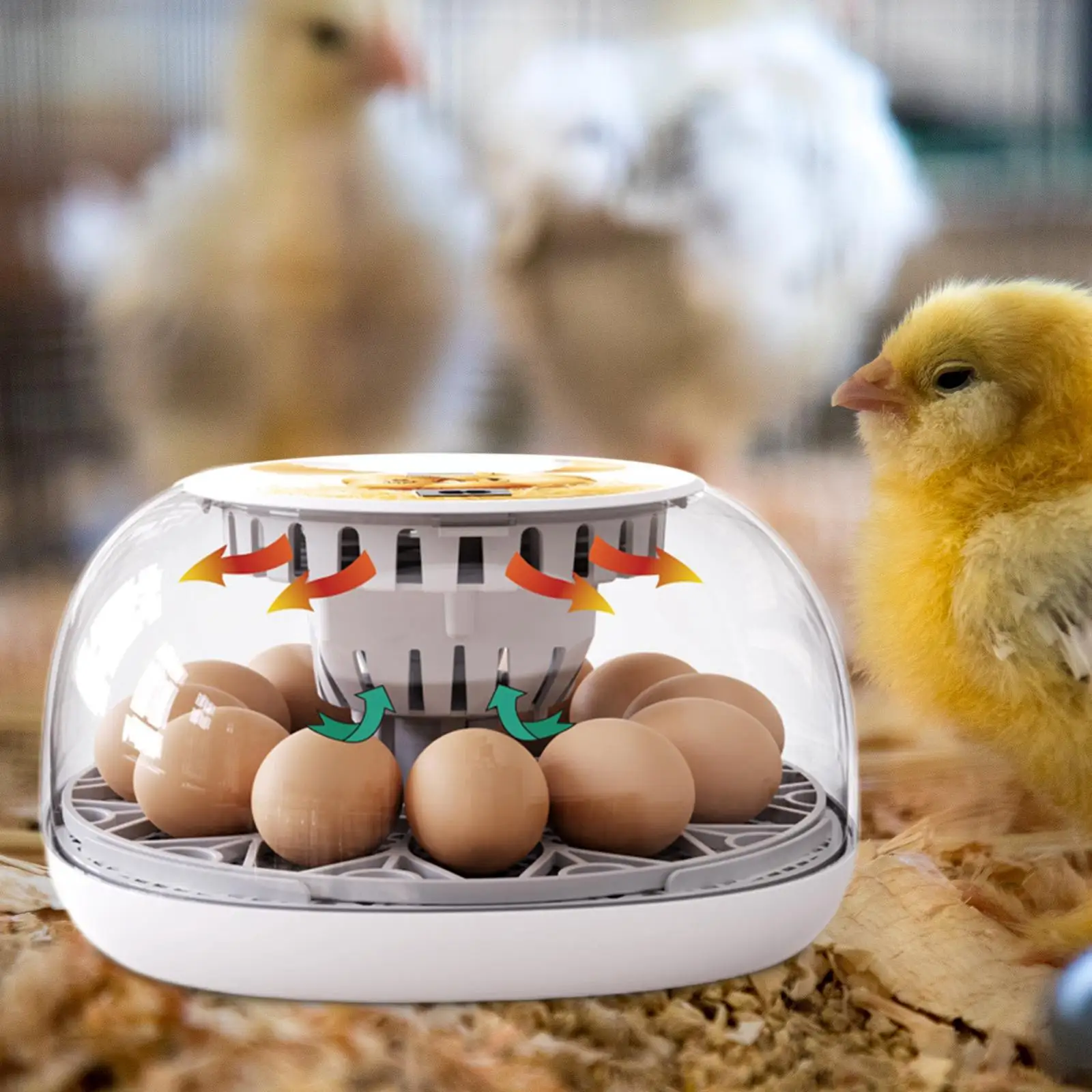 

Инкубатор для яиц, ручной инкубатор с прозрачной крышкой и контролем температуры, инкубатор для цыплят гусиных яиц