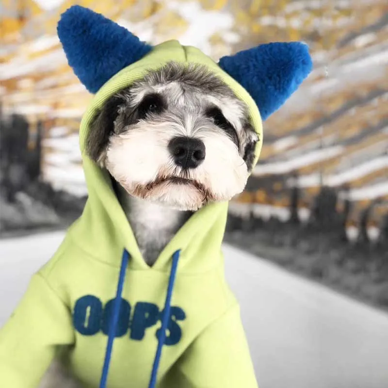 Dog clothes fall and winter cotton sweater Small dog clothes Teddy Schnauzer Pomeranian poodle padded pet hooded sweater
Dog clothes fall and winter cotton sweater Small dog clothes Teddy Schnauzer Pomeranian poodle padded pet hooded sweater