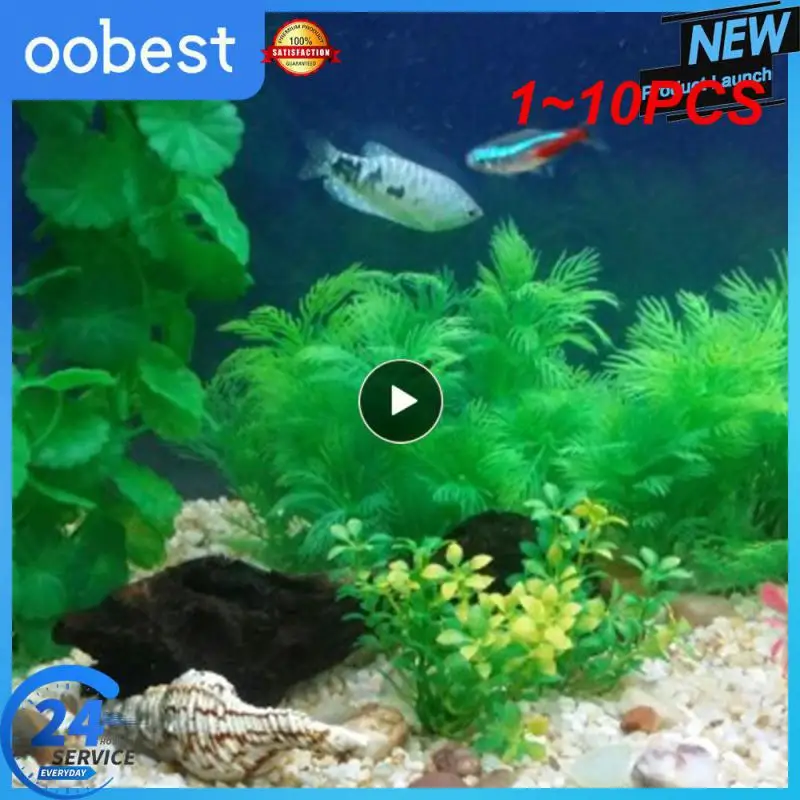 1 ~ 10 шт. 30/20/10 см, имитация аквариума, водные растения, украшение для аквариума, аксессуары для аквариума, зеленое бархатное дерево
1 ~ 10 шт. 30/20/10 см, имитация аквариума, водные растения, украшение для аквариума, аксессуары для аквариума, зеленое бархатное дерево