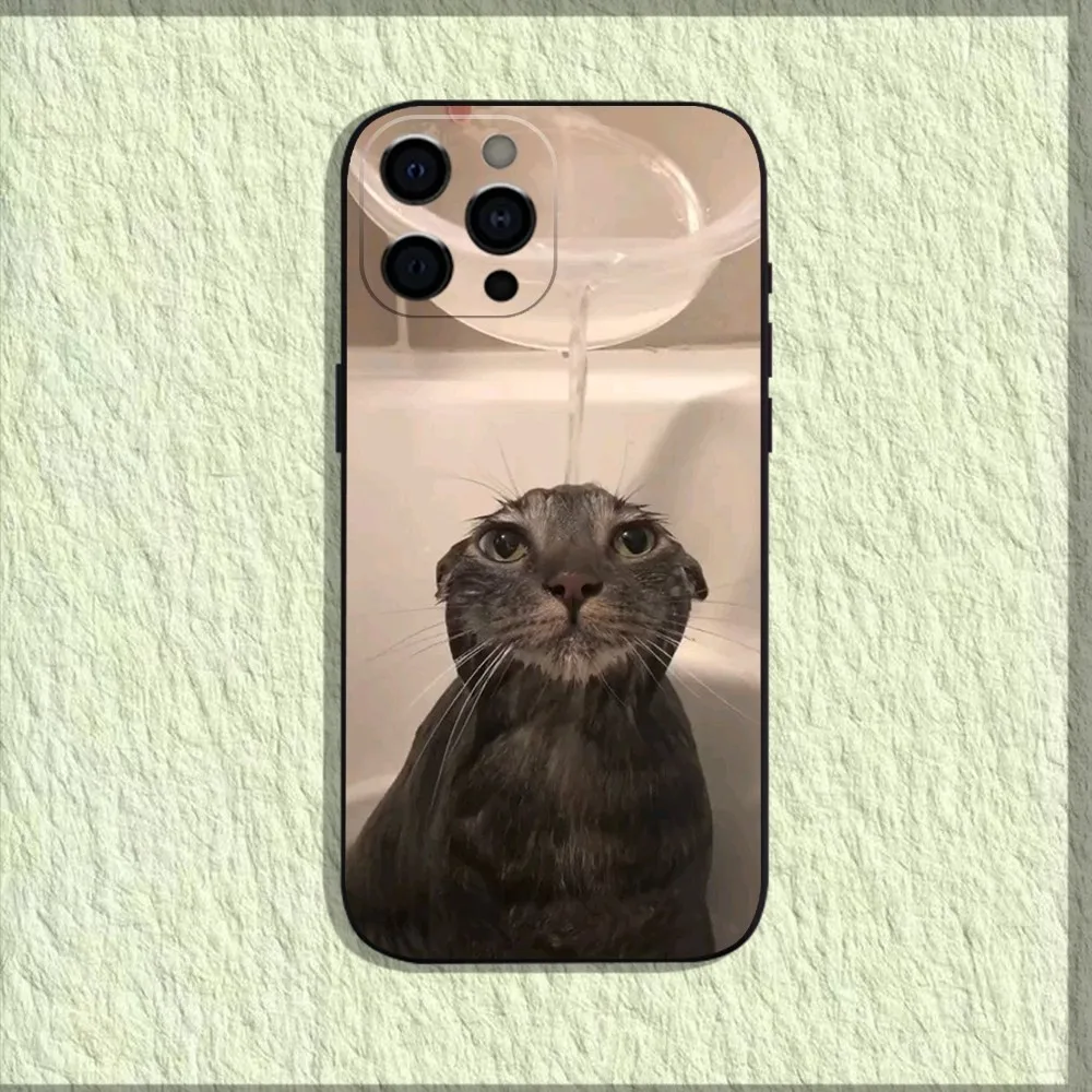 Pet Cat Funny memes Phone Case For iPhone 16,15,14,13,12,11,Pro,X,XS,Max,XR,Plus,Mini Soft Black Cover Pet Cat Funny memes Phone Case For iPhone 16,15,14,13,12,11,Pro,X,XS,Max,XR,Plus,Mini Soft Black Cover
