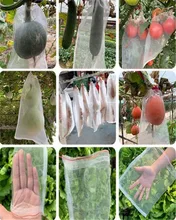 1 Pcs White net bag Orchard Insect Barrier Net Protect Bags Gardening Insect Barrier Bird Net Net bag Can be reused
1 Pcs White net bag Orchard Insect Barrier Net Protect Bags Gardening Insect Barrier Bird Net Net bag Can be reused