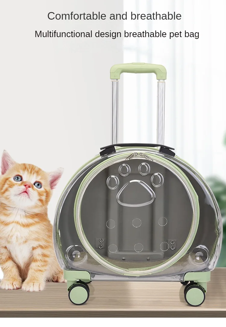 S2476dd81223b44879e533cadeb63474dO