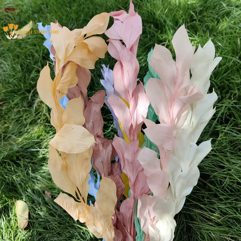 4Pcs Natural Dried Flowers Orange Leaves Nordic Home Decor Eternal Flower Wedding Decoration Material Furnishings Shooting Props
4Pcs Natural Dried Flowers Orange Leaves Nordic Home Decor Eternal Flower Wedding Decoration Material Furnishings Shooting Props