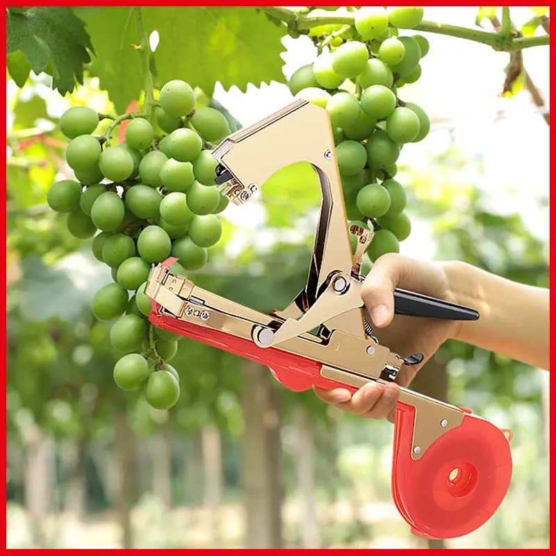 Garden tying tools, fruit, vegetable, grape tying tools, gardening supplies, agricultural metal nail tape, garden planting suppl
Garden tying tools, fruit, vegetable, grape tying tools, gardening supplies, agricultural metal nail tape, garden planting suppl