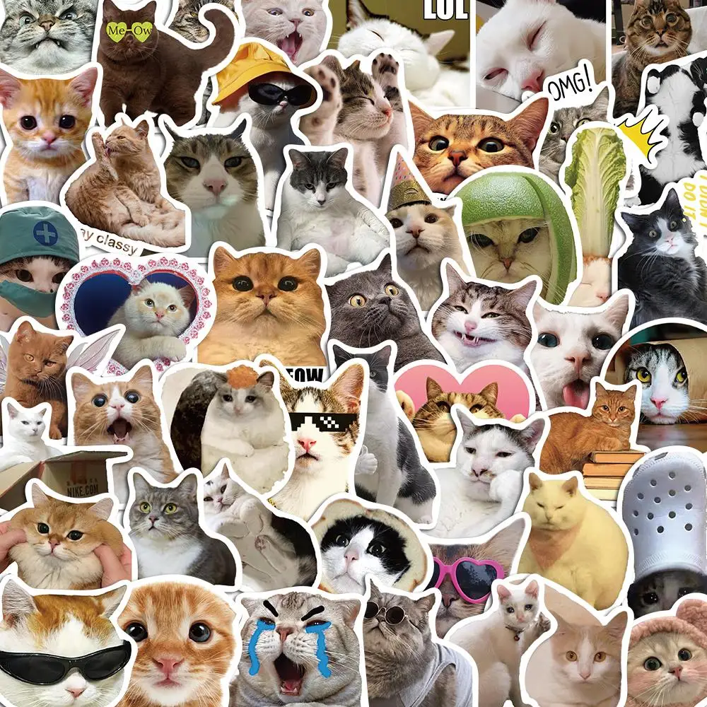 10/50/100PCS Cat Funny MEME Stickers Pack For Kids DIY Skateboard Motorcycle Suitcase Stationery Decals Decor Phone Laptop Toys
10/50/100PCS Cat Funny MEME Stickers Pack For Kids DIY Skateboard Motorcycle Suitcase Stationery Decals Decor Phone Laptop Toys