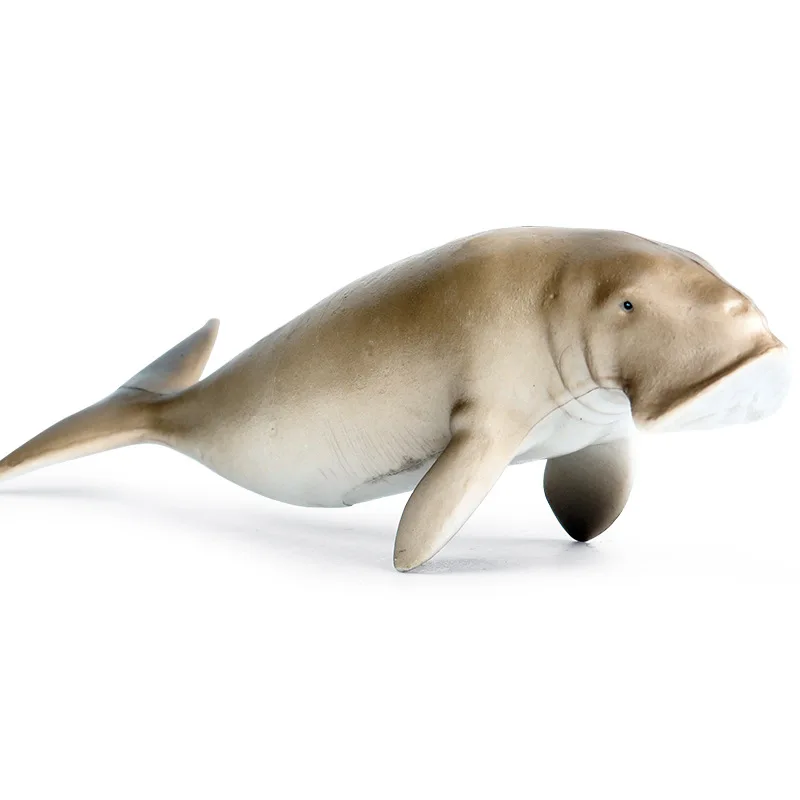 Children's simulation solid static marine biological model Mermaid undersea animal Shark plastic toy ornaments
Children's simulation solid static marine biological model Mermaid undersea animal Shark plastic toy ornaments