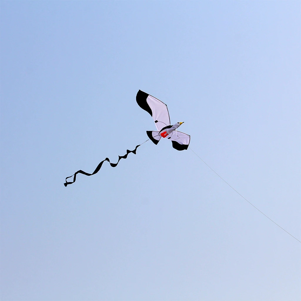 3D Seagull Huge Kite for Kids And Adults Easy Single Rope with Tail for Beach Trips Playground Activities
3D Seagull Huge Kite for Kids And Adults Easy Single Rope with Tail for Beach Trips Playground Activities