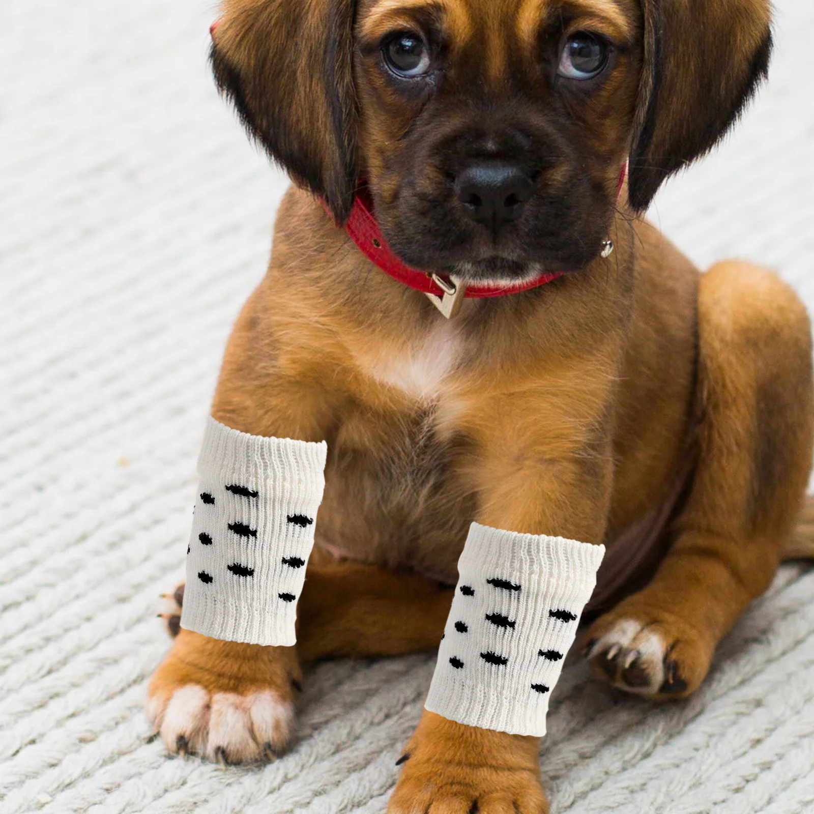 4pcs Warm Dog Hock Covers Warm Dog Hock Covers Pet Leg Warmer Pet Socks Dog Elbow Protector (M)
4pcs Warm Dog Hock Covers Warm Dog Hock Covers Pet Leg Warmer Pet Socks Dog Elbow Protector (M)