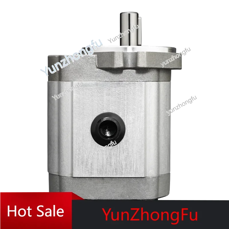 

Hydraulic Gear Pump High Pressure High Temperature Resistant Oil Pump Cbt304/306/308/310/314/316/320