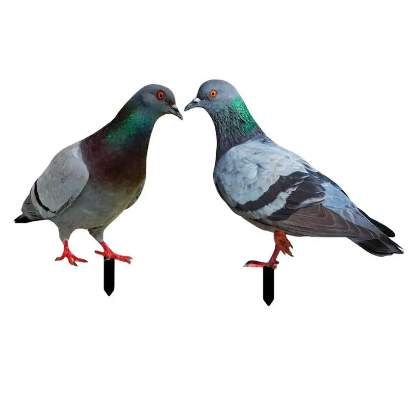 Pigeon Statue Artificial Foam Feather Grey Pigeon Imitation Animal Garden Gift Party Wedding Supply Pigeon Home Decorations
Pigeon Statue Artificial Foam Feather Grey Pigeon Imitation Animal Garden Gift Party Wedding Supply Pigeon Home Decorations