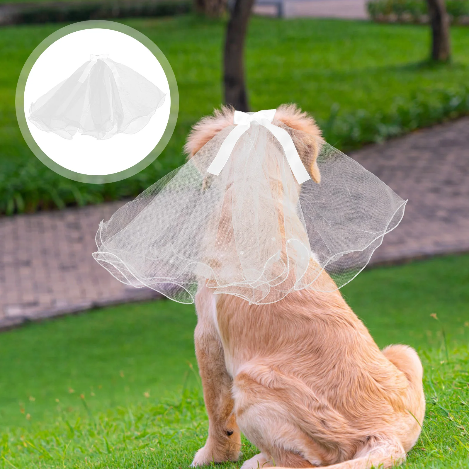 Wedding Dresses Pet Veil Cat Bridal Headdress Dog Hairpin Puppy Weddings Parties Accessories White Bride
Wedding Dresses Pet Veil Cat Bridal Headdress Dog Hairpin Puppy Weddings Parties Accessories White Bride