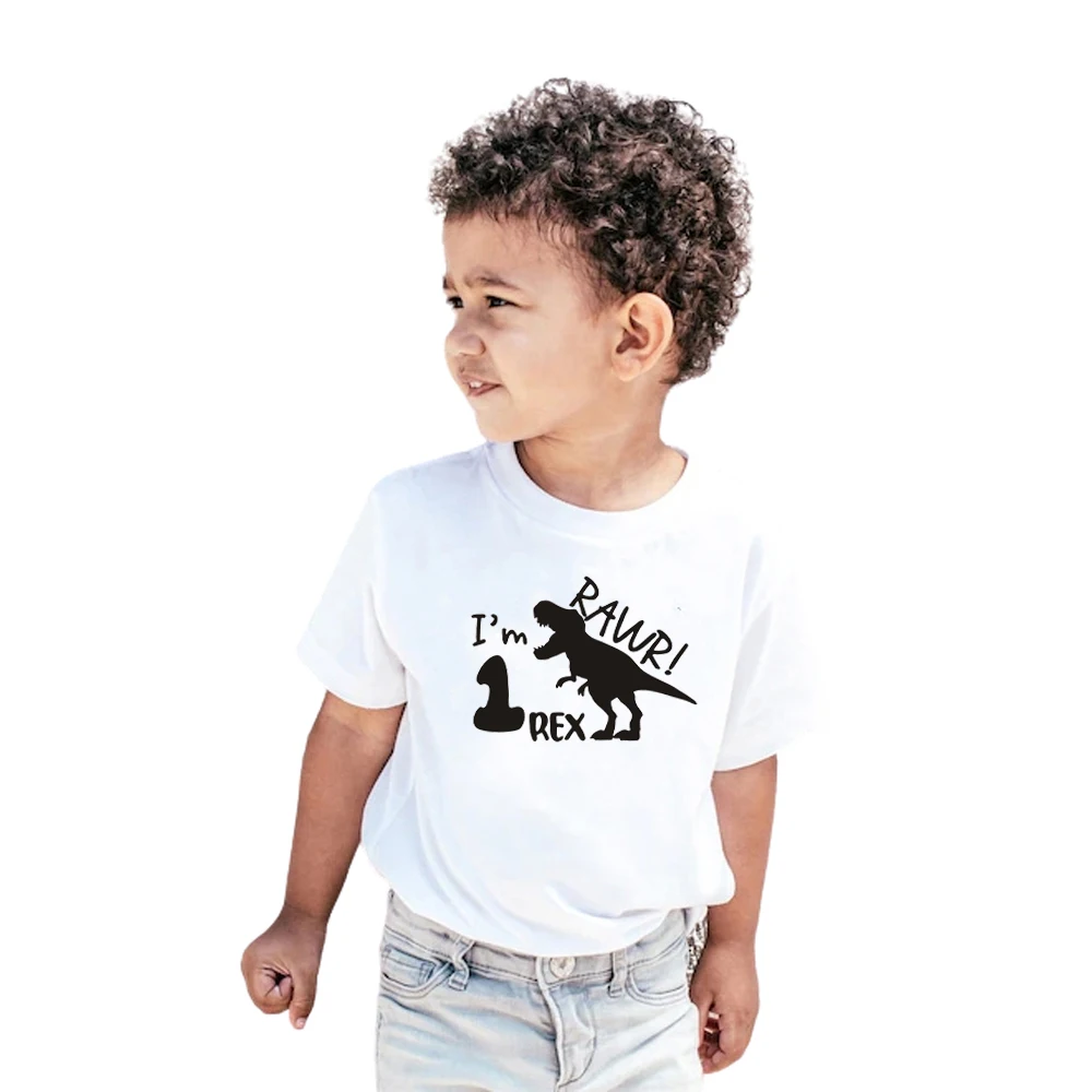 

Rawr Im 2, Im 3 Rex Dinosaur Baby Boy 2nd 3rd Birthday Shirt Flip T Shirt Kids Funny Shirt Dinosaur Graphic Tee Clothes