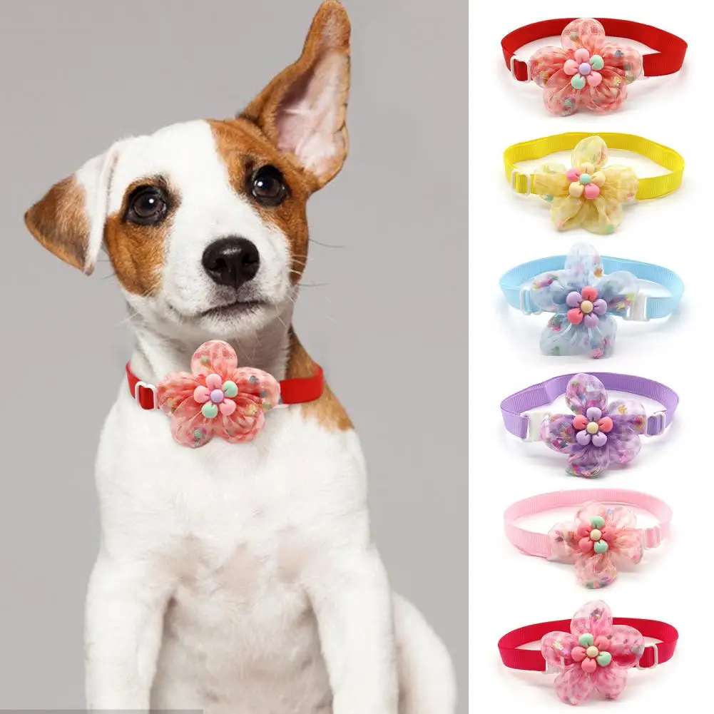 Pet Collar Pet Bell Flower Collar Necklace Kitten Collar Sweet Cats Dogs Collars for Cats Small Dogs Puppy Pet Accessories
Pet Collar Pet Bell Flower Collar Necklace Kitten Collar Sweet Cats Dogs Collars for Cats Small Dogs Puppy Pet Accessories