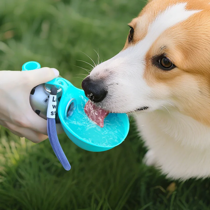 Portable Dog Water Bottle | 2-in-1 Water Bottle for Small Dogs - Leak-Proof A close-up shot of a Corgi dog drinking water from the bright blue silicone leaf-bowl of the portable water bottle. A person
