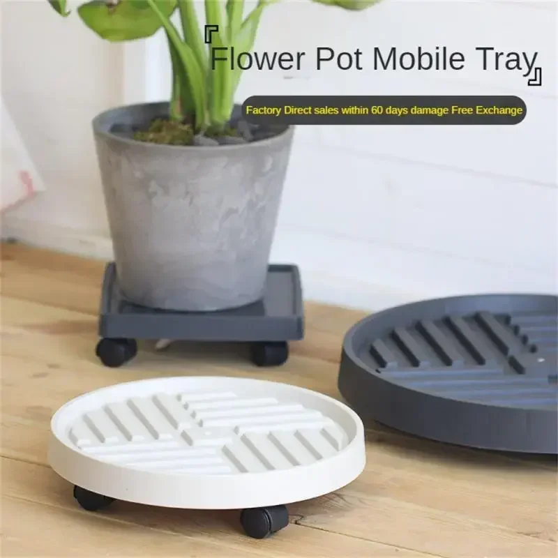 Pot Movable Base Pot Plants Flower Trays Disc Flower Wheels With Round Durable Tray Multifunctional Square Trays Stand Bonsai
Pot Movable Base Pot Plants Flower Trays Disc Flower Wheels With Round Durable Tray Multifunctional Square Trays Stand Bonsai