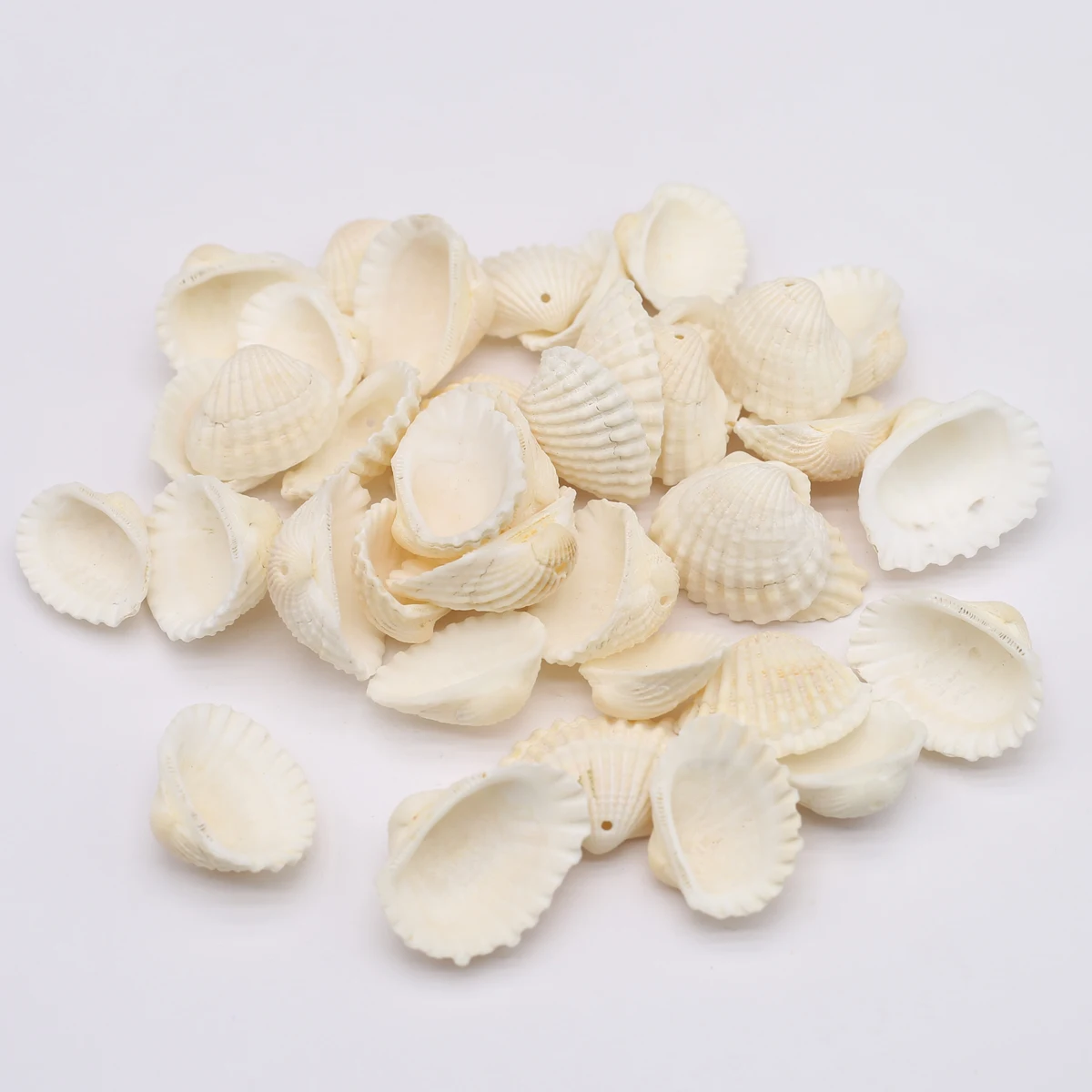 100 Gram Small Sea Shell Beads Natural Scalloped Ocean Shells Shellfish Conch Loose Beads for Jewelry Making DIY Accessories
100 Gram Small Sea Shell Beads Natural Scalloped Ocean Shells Shellfish Conch Loose Beads for Jewelry Making DIY Accessories