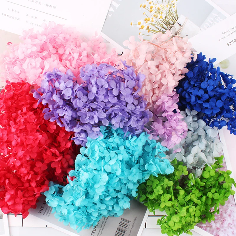 5g Real Natural Fresh Preserved Hydrangea Heads,Dried Forever Eternal Hydrangeas DIY Beauty Nail Art Decals Jewelry Home Decor
5g Real Natural Fresh Preserved Hydrangea Heads,Dried Forever Eternal Hydrangeas DIY Beauty Nail Art Decals Jewelry Home Decor