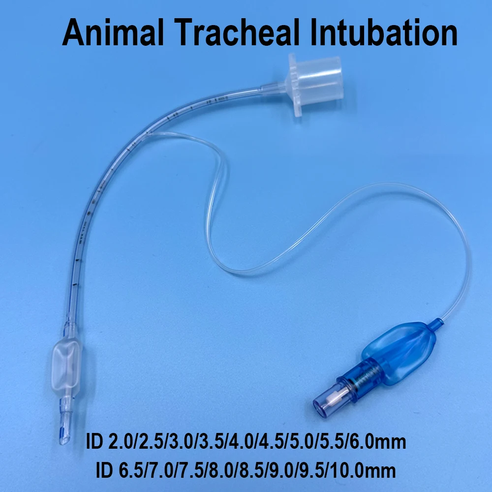 

Animal tracheal intubation Cat Dogs Disposable PVC Sterile Oral Nasal Endotracheal Tube with Cuff 2.5-10mm Veterinary Supplies