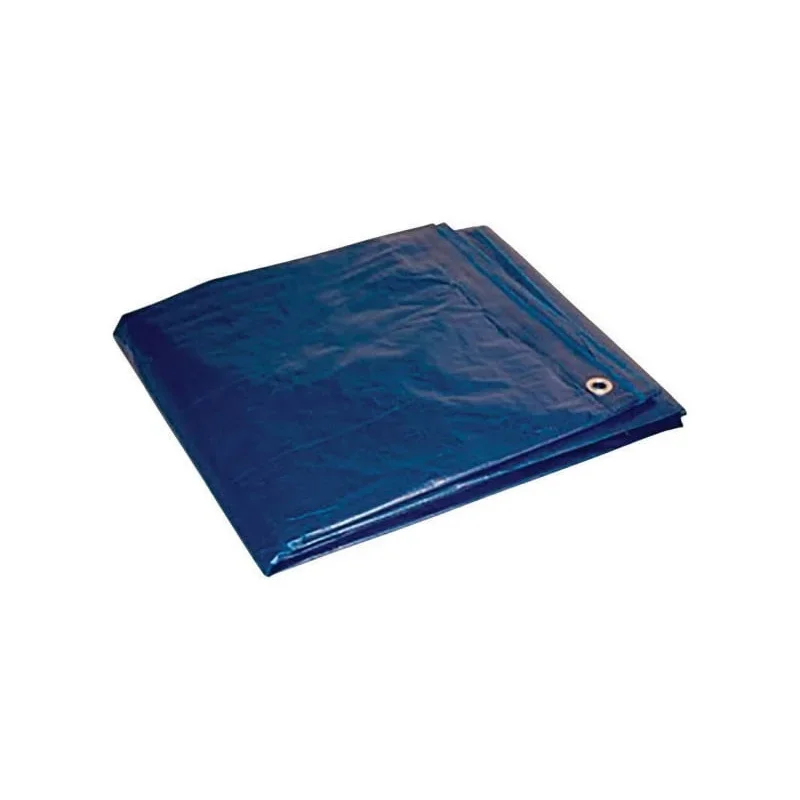 

Foremost 20 ft. x 30 ft. Heavy Duty Polyethylene Tarp Blue