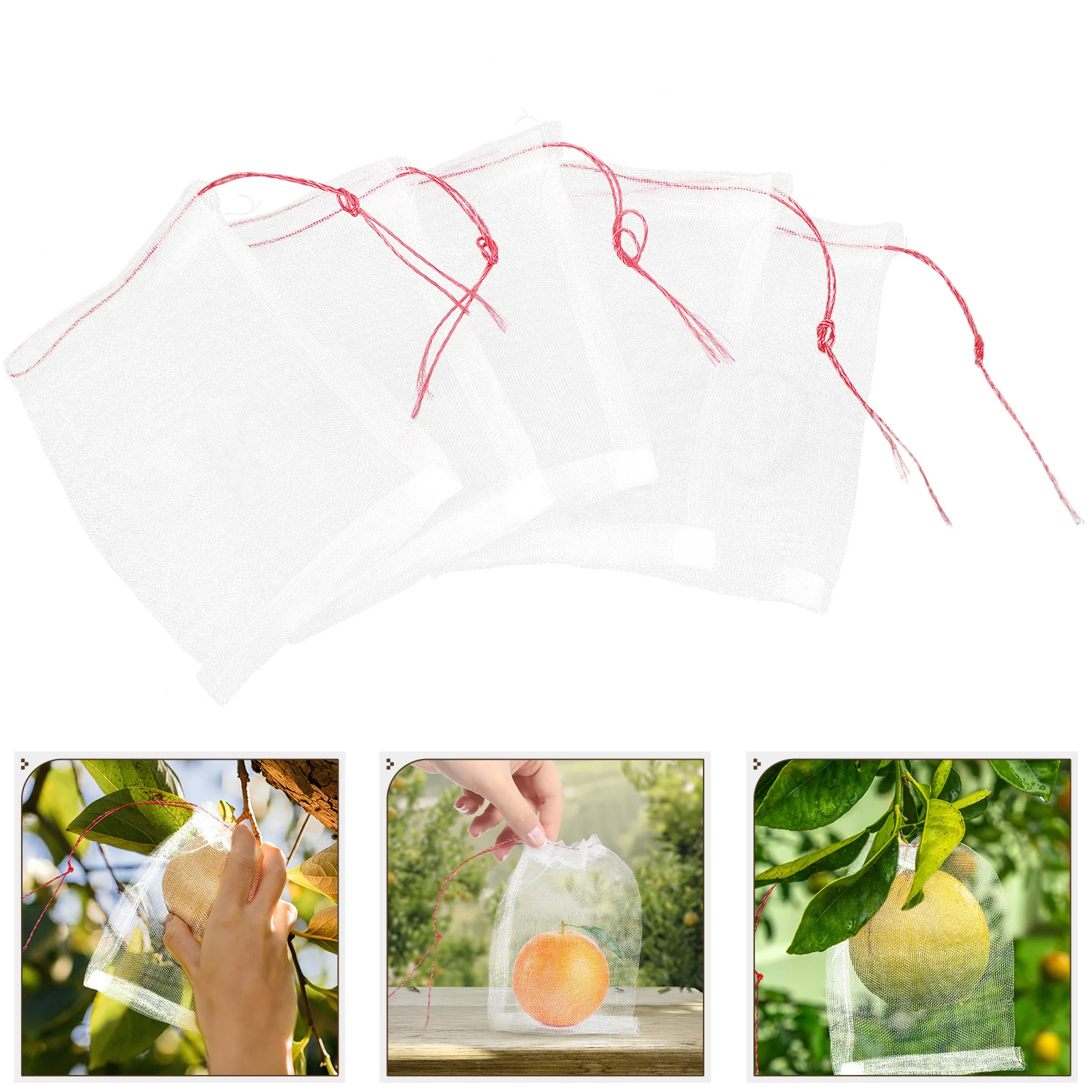 50Pcs Fruit Protectors Netting Bag Fruit Protection Bags for Fruit Trees Fruit Protection Bags
50Pcs Fruit Protectors Netting Bag Fruit Protection Bags for Fruit Trees Fruit Protection Bags
