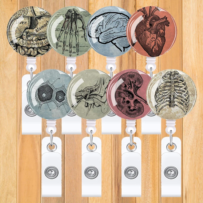 A0515 New Design 1 Piece High Quality Silicone Retractable Hospital Nurse Badge Holder Reel human organs ID Card Holder Keychain
A0515 New Design 1 Piece High Quality Silicone Retractable Hospital Nurse Badge Holder Reel human organs ID Card Holder Keychain