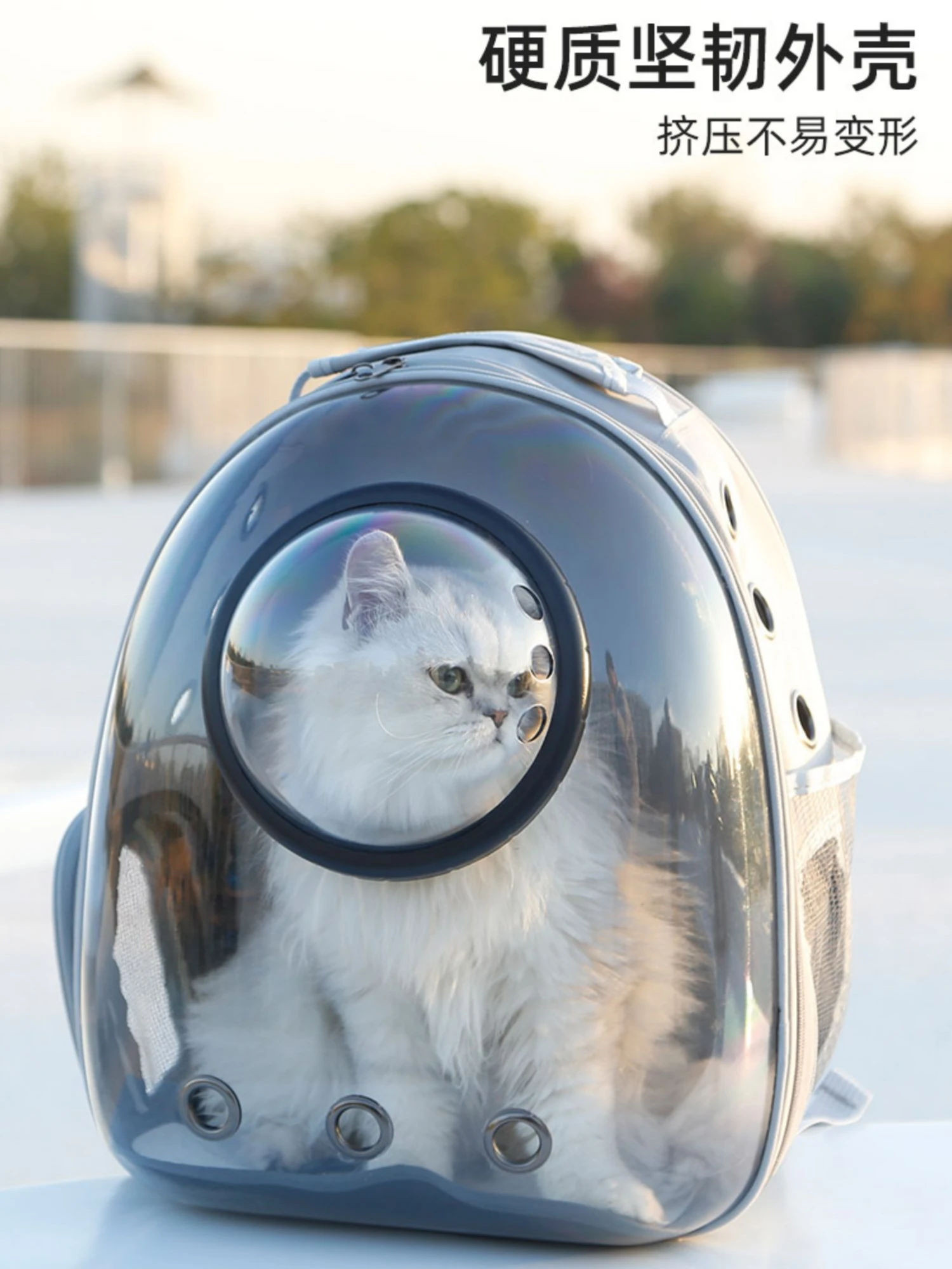 The product can be customized.Cat bag, portable bag, space capsule, breathable backpack, large capacity cat backpack
The product can be customized.Cat bag, portable bag, space capsule, breathable backpack, large capacity cat backpack