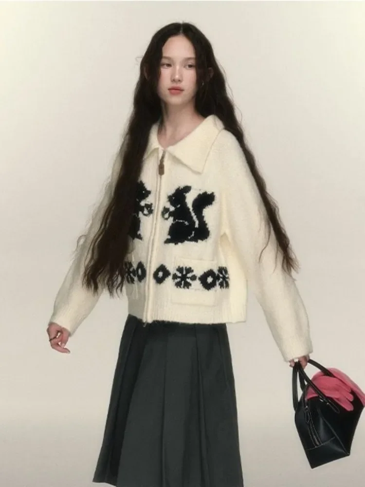 HOUZHOU Vintage Elegant Fashion Knitted Cardigan Women Japanese Kawaii Streetwear Squirrel Graphic Zipper Long Sleeve Sweater
HOUZHOU Vintage Elegant Fashion Knitted Cardigan Women Japanese Kawaii Streetwear Squirrel Graphic Zipper Long Sleeve Sweater