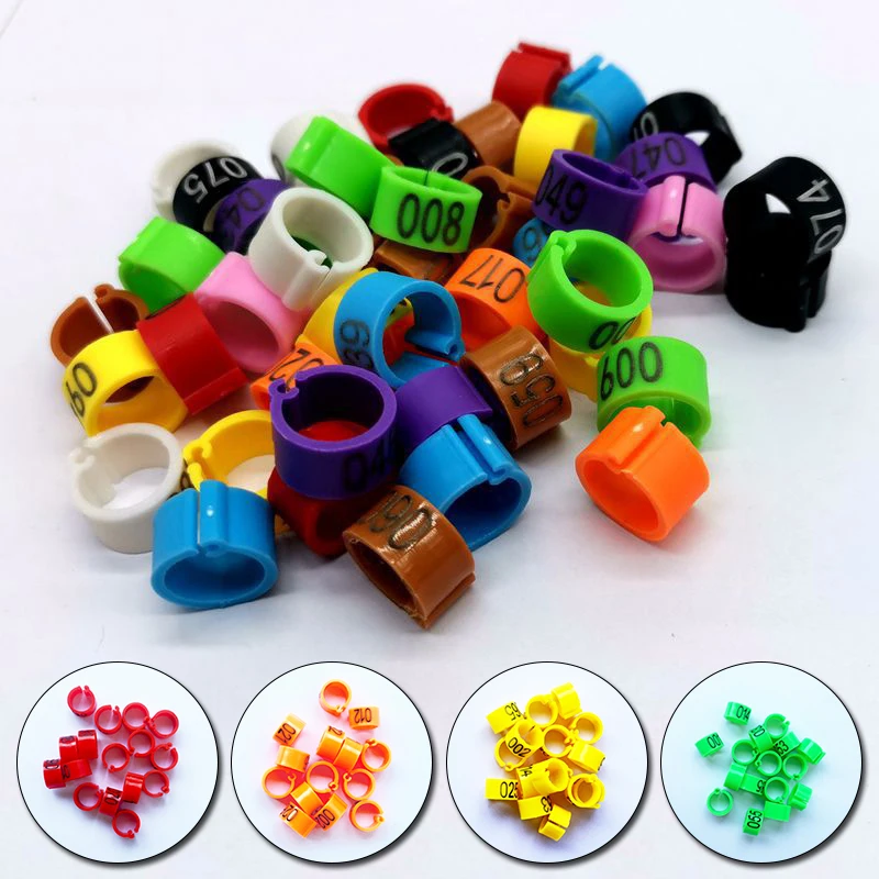 100pcs/set No.001~100 Bird Foot Clamp With Inner Diameter Of 8mm Plastic Ring, Pigeon And Quail Foot Ring, Animal Carrier
100pcs/set No.001~100 Bird Foot Clamp With Inner Diameter Of 8mm Plastic Ring, Pigeon And Quail Foot Ring, Animal Carrier