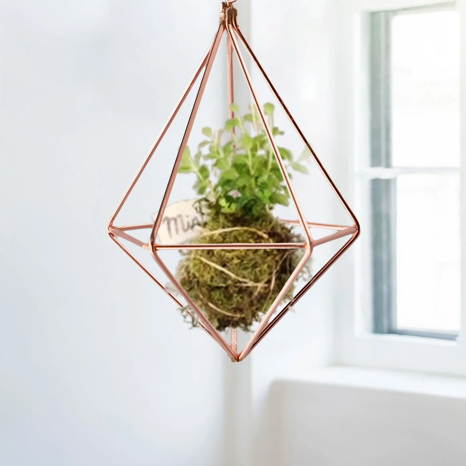 Geometric Macrame Pot Pocket Wall Boho Courtyard Home Decor Gardening Green Plant Hanging Stand Air Plant Holder Home Decor
Geometric Macrame Pot Pocket Wall Boho Courtyard Home Decor Gardening Green Plant Hanging Stand Air Plant Holder Home Decor