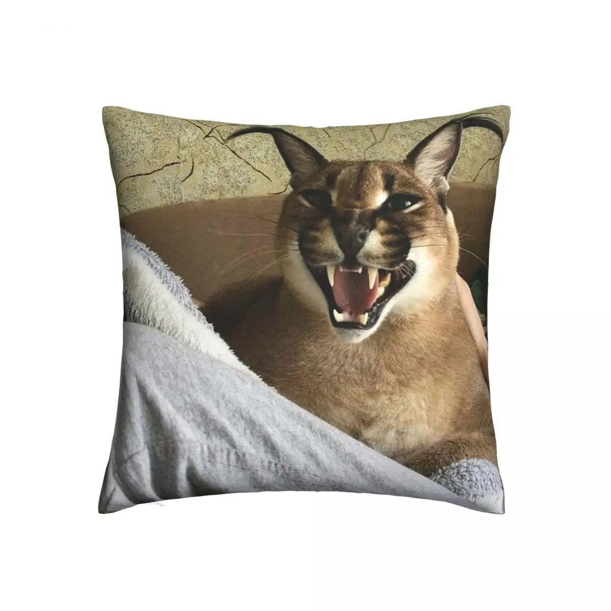 Big Floppa Funny Meme Square Pillow Cases Caracal Cat Cushion Cover Awesome Decor Pillowcover for Home 45x45cm
Big Floppa Funny Meme Square Pillow Cases Caracal Cat Cushion Cover Awesome Decor Pillowcover for Home 45x45cm
