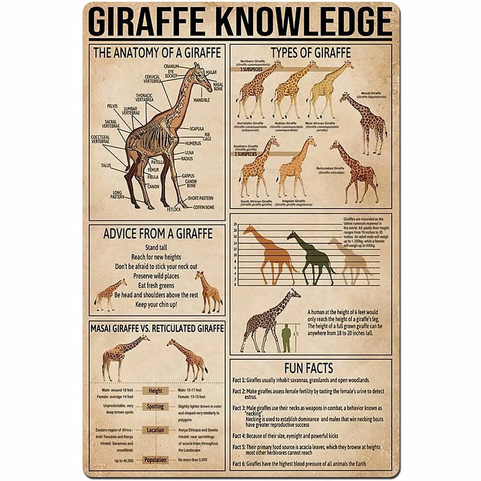 Veidsuh Giraffe Knowledge Vintage Poster Metal Tin Signs Iron Painting Plaque Wall Decor Bar Club Novelty Bathroom Kitchen Toile
Veidsuh Giraffe Knowledge Vintage Poster Metal Tin Signs Iron Painting Plaque Wall Decor Bar Club Novelty Bathroom Kitchen Toile