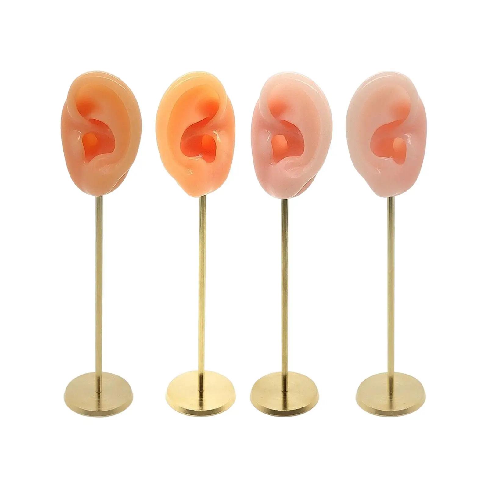 Silicone Human Ear Molds Earring Display Stand Earphones Display Stand Hearing Aids Display Stand Human Ear Model Stud Holder
Silicone Human Ear Molds Earring Display Stand Earphones Display Stand Hearing Aids Display Stand Human Ear Model Stud Holder