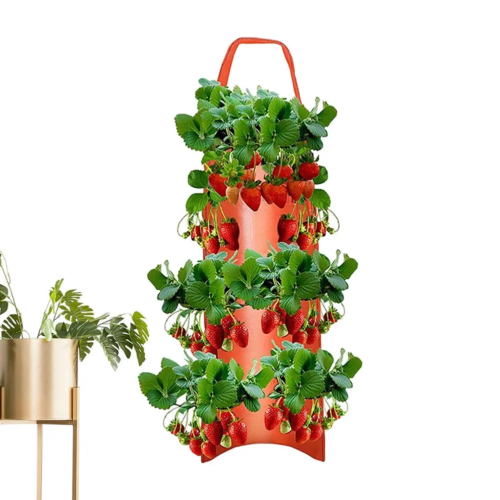 Breathable Canvas Upside Down Tomato Strawberry Plant Flower Plant Grow Bag, Hang Grow Bags, Good Permeability, 8 Holes
Breathable Canvas Upside Down Tomato Strawberry Plant Flower Plant Grow Bag, Hang Grow Bags, Good Permeability, 8 Holes