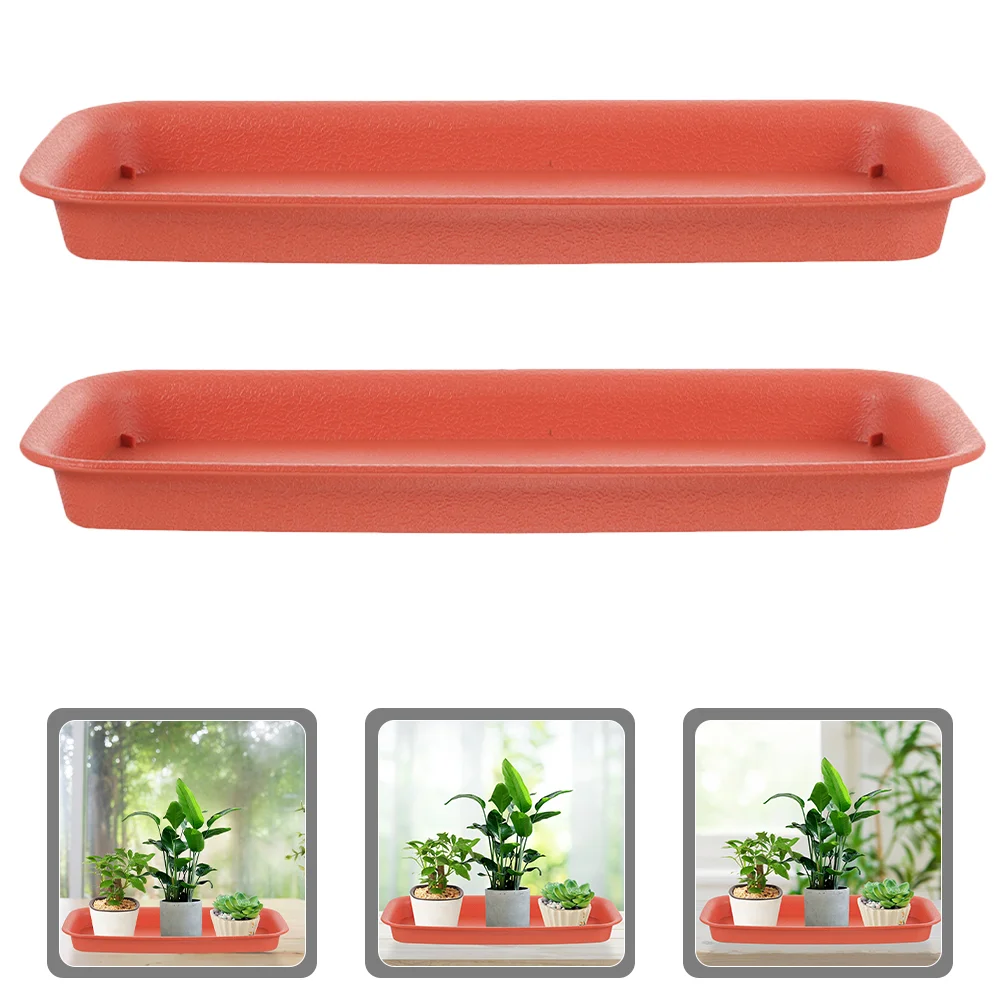 Plastic Plant Saucers Tray Flower Pot Drip Tray Succulent Pot Saucer Plate Planter Round Tray
Plastic Plant Saucers Tray Flower Pot Drip Tray Succulent Pot Saucer Plate Planter Round Tray