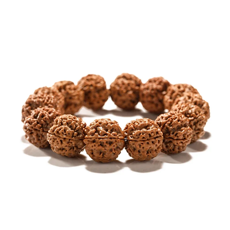 Big Rudraksha Beads Bracelet Male Honeycomb Corpulent Five Faces Six Petals like Walnut Collectables-Autograph
Big Rudraksha Beads Bracelet Male Honeycomb Corpulent Five Faces Six Petals like Walnut Collectables-Autograph