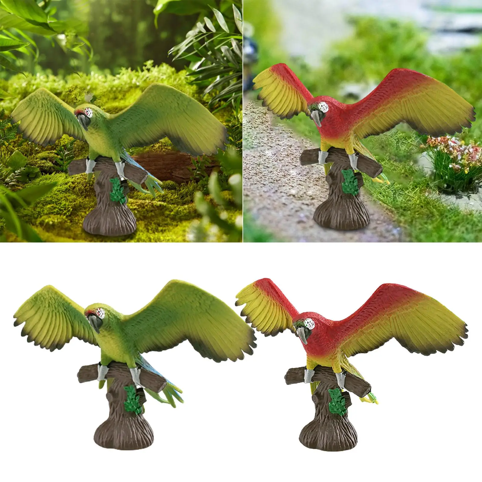 

Realistic Parrot Figurines Playset Parrot on Branch Model for Teaching Aid