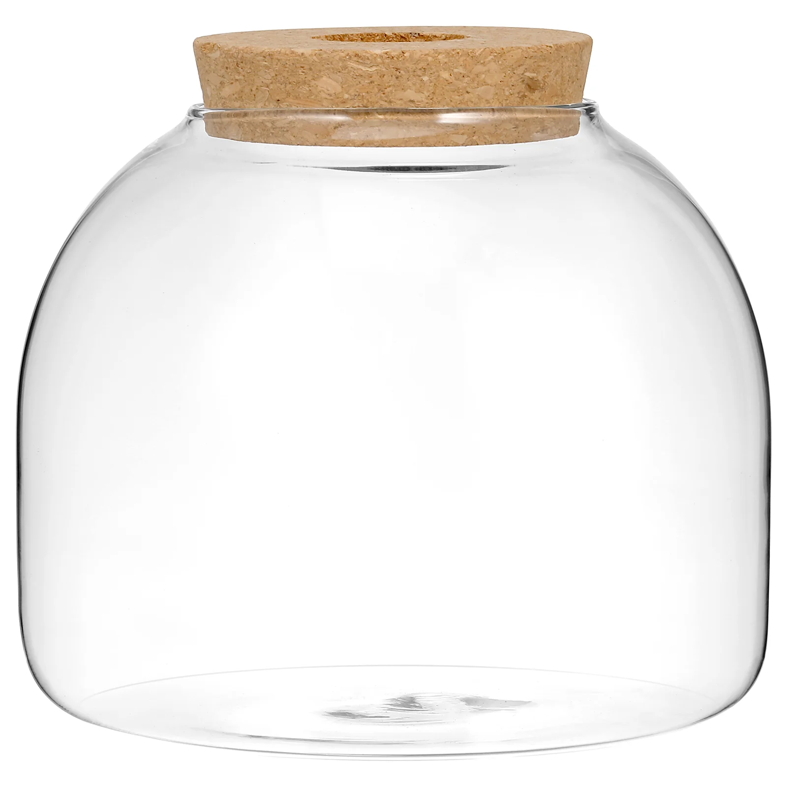 Ultechnovo Glass Terrarium Container with Wooden Lid for Plant Propagation and Succulent Air Planter
Ultechnovo Glass Terrarium Container with Wooden Lid for Plant Propagation and Succulent Air Planter