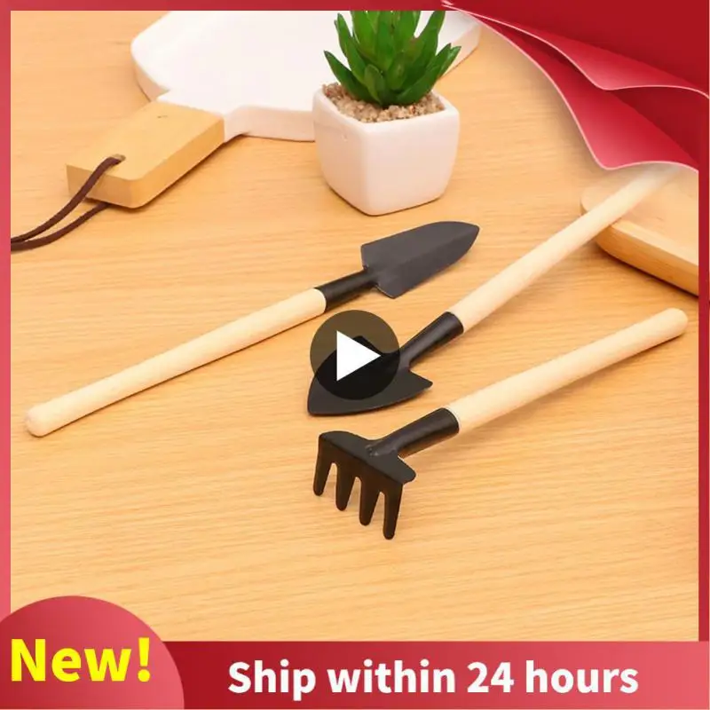 Succulent Plant Gardening Loosening Tools Mini Potted Tools Set Outdoor Manual Plant Flower Shovel Rake Three-Piece Set 
Succulent Plant Gardening Loosening Tools Mini Potted Tools Set Outdoor Manual Plant Flower Shovel Rake Three-Piece Set